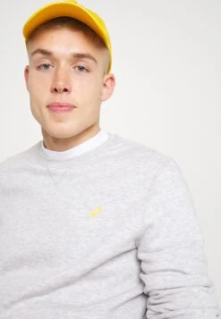 Pier One Sweater - Mottled Light Grey 15 Pier One Sweater - Mottled Light Grey -Pier One Aanbiedingen Winkel 69660e483a69414095a12f5a02a0caf3