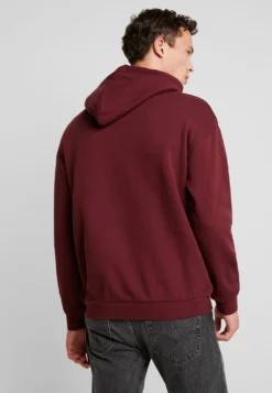 Pier One Hoodie - Bordeaux -Pier One Aanbiedingen Winkel 6fe908a29d5a4d61827d3113887abc4b scaled