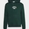 Pier One Denver College Hoodie- Sweater - Green