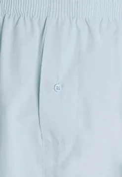 Pier One 5 Pack - Boxershort - Light Blue/White -Pier One Aanbiedingen Winkel 8d526a81d413439291c57bcecfa7d443 scaled